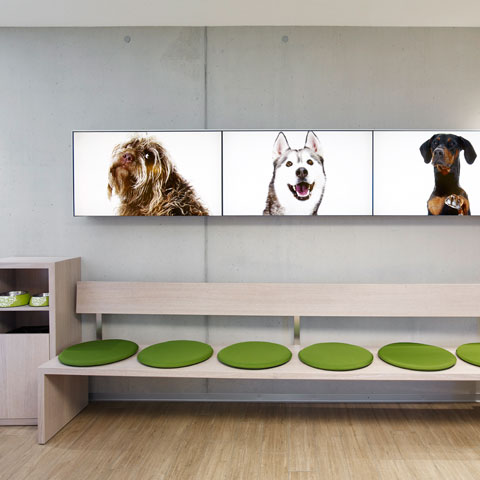 06 milani design consulting agency Tierklinik marigin Tierarzt Interior Furniture Vet
