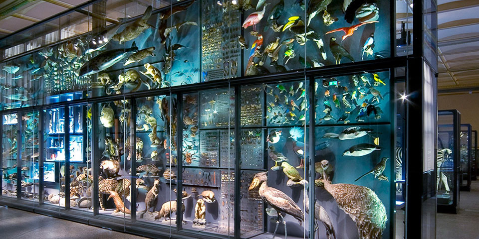 milani design consulting agency innovation tourism naturkunde museum berlin Ausstellung