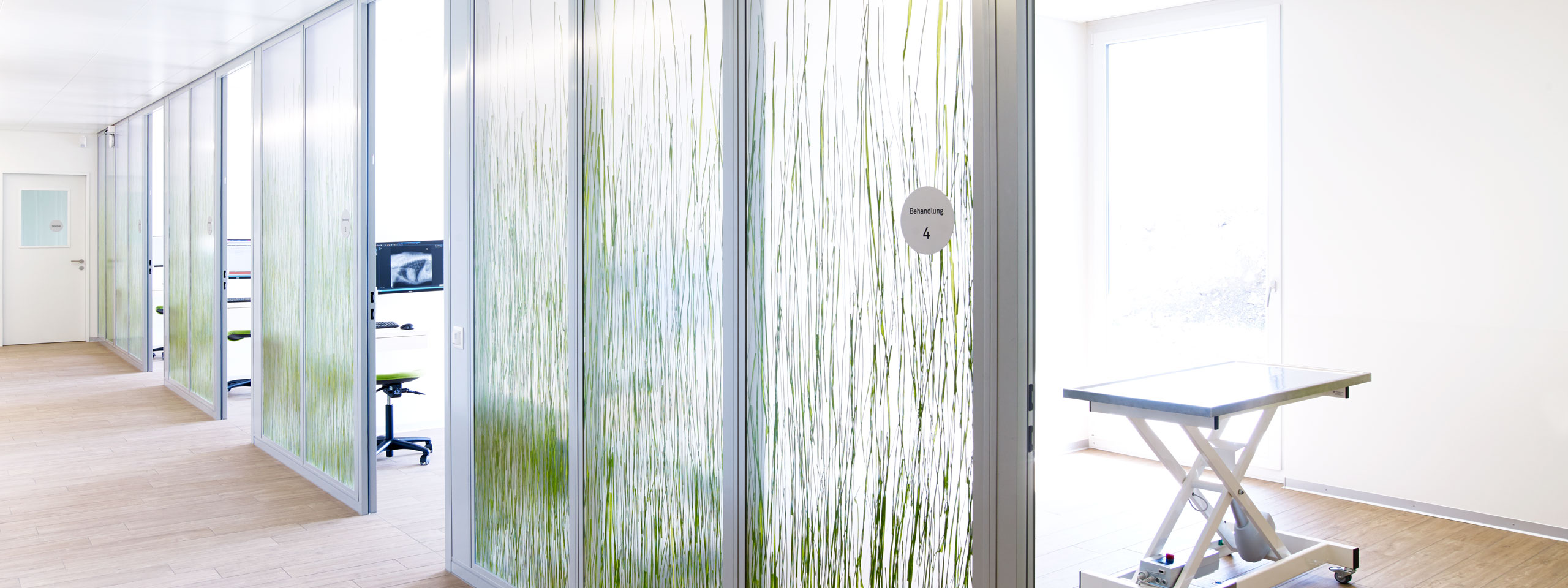 000 Teaser milani design consulting agency Tierklinik marigin Tierarzt Interior Furniture Vet