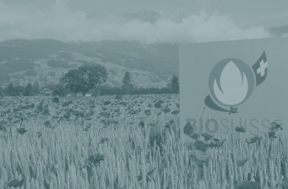 00 milani nachhaltigkeitsberatung business innovation consulting agentur Zurich Schweiz BioSuisse header 2560 960