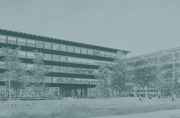 01 milani design consulting agentur Nachhaltigkeitsberatung Nachhaltigkeitsstrategie Coaching Treibhausgas Bilanz Senn HerzogdeMeuron teaser Hortus Gruenraum 2 v2