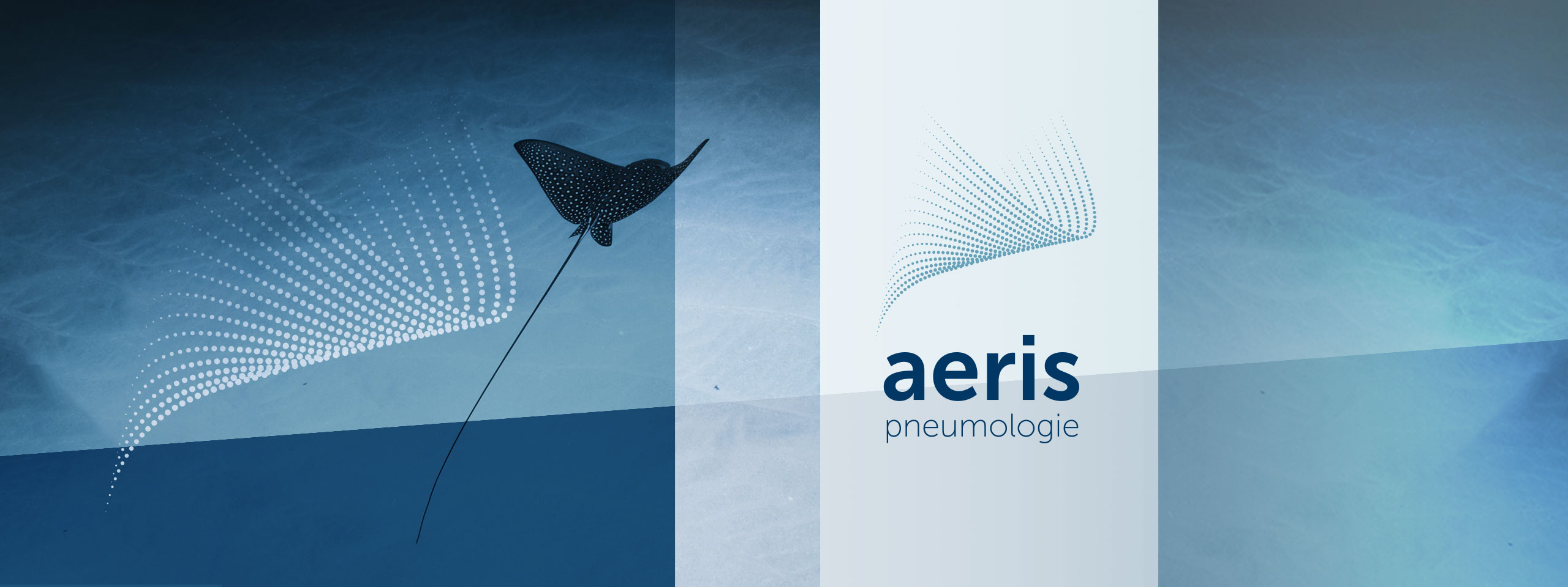 Lungenpraxis CI milani design consulting ag design services branding web medical lungen praxis 0