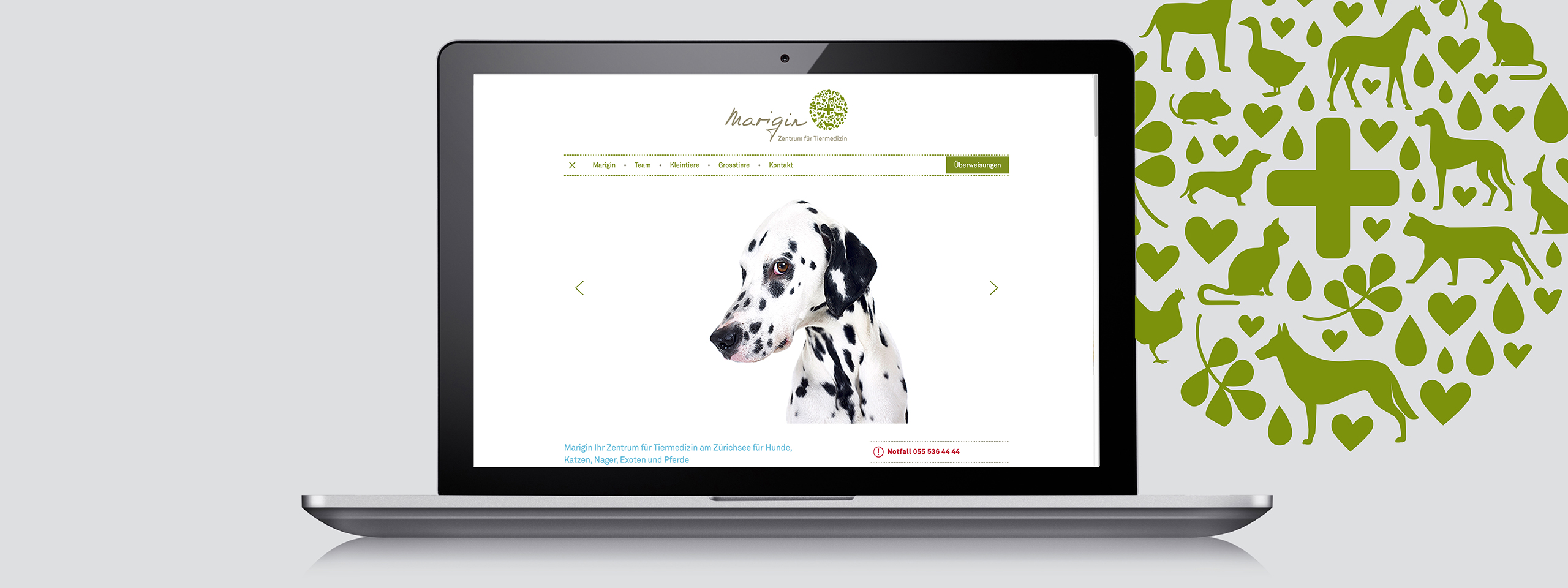 milani design consulting agency branddesign website marigin 2560x960